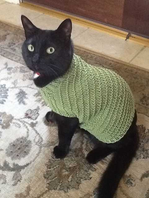 Cat knitting pattern sweater