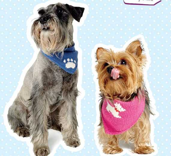 Knitted dog scarf pattern free