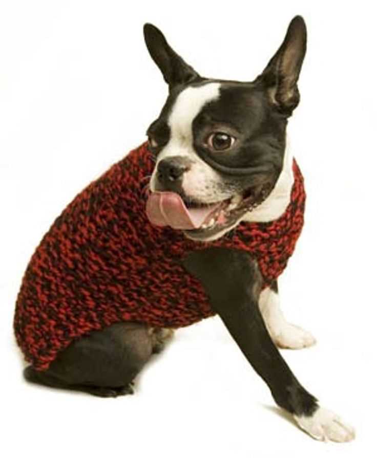 Knitting patterns for pets