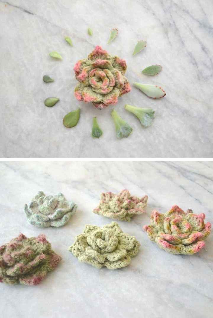 Succulent knitting pattern