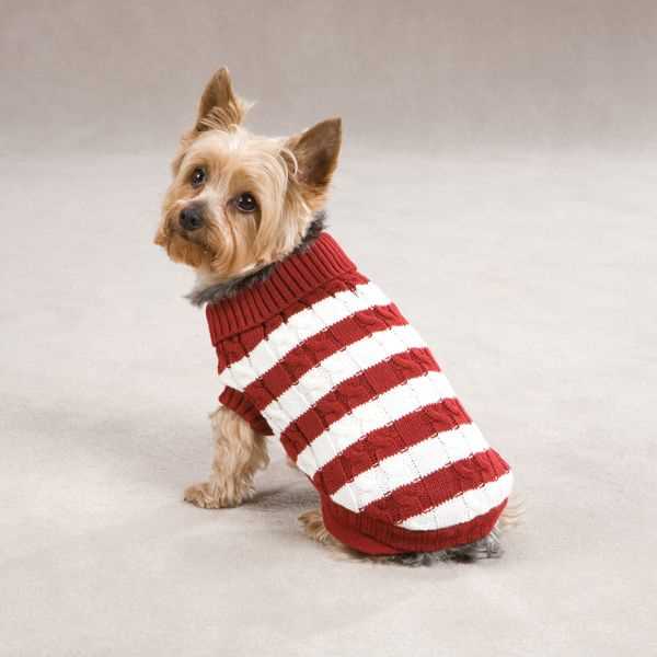 Small dog knitted sweater pattern