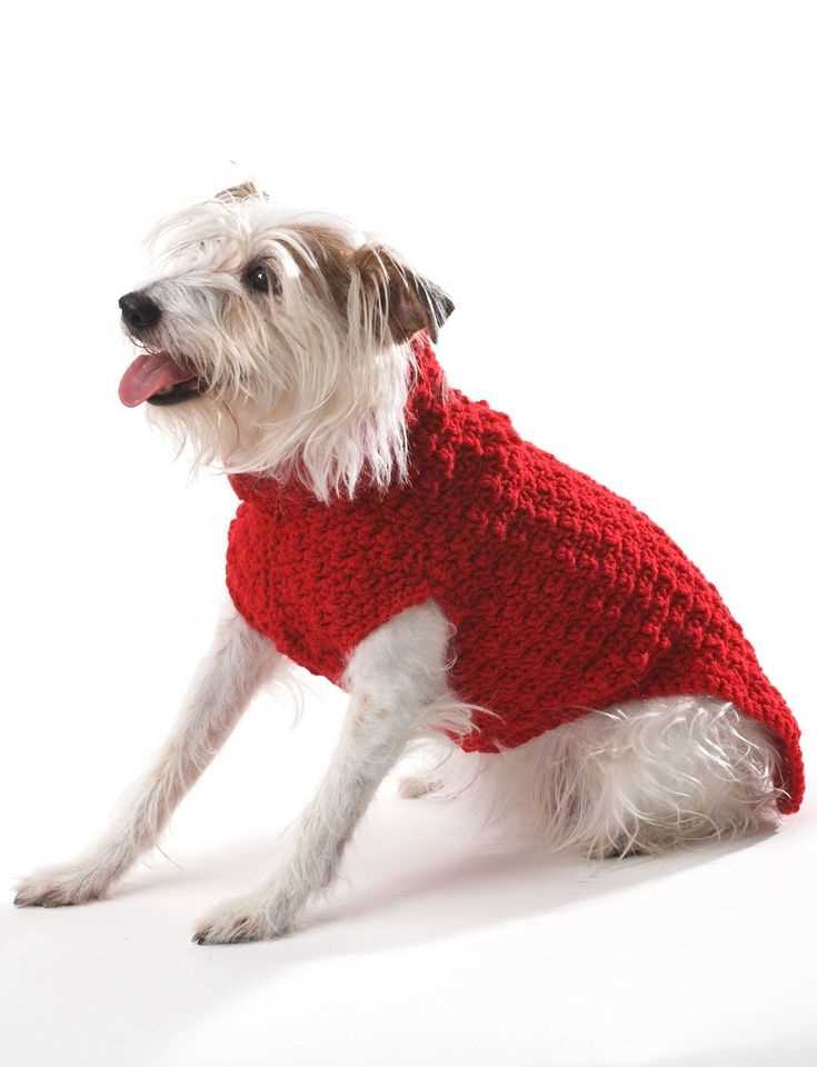 Knit dog sweater pattern free easy