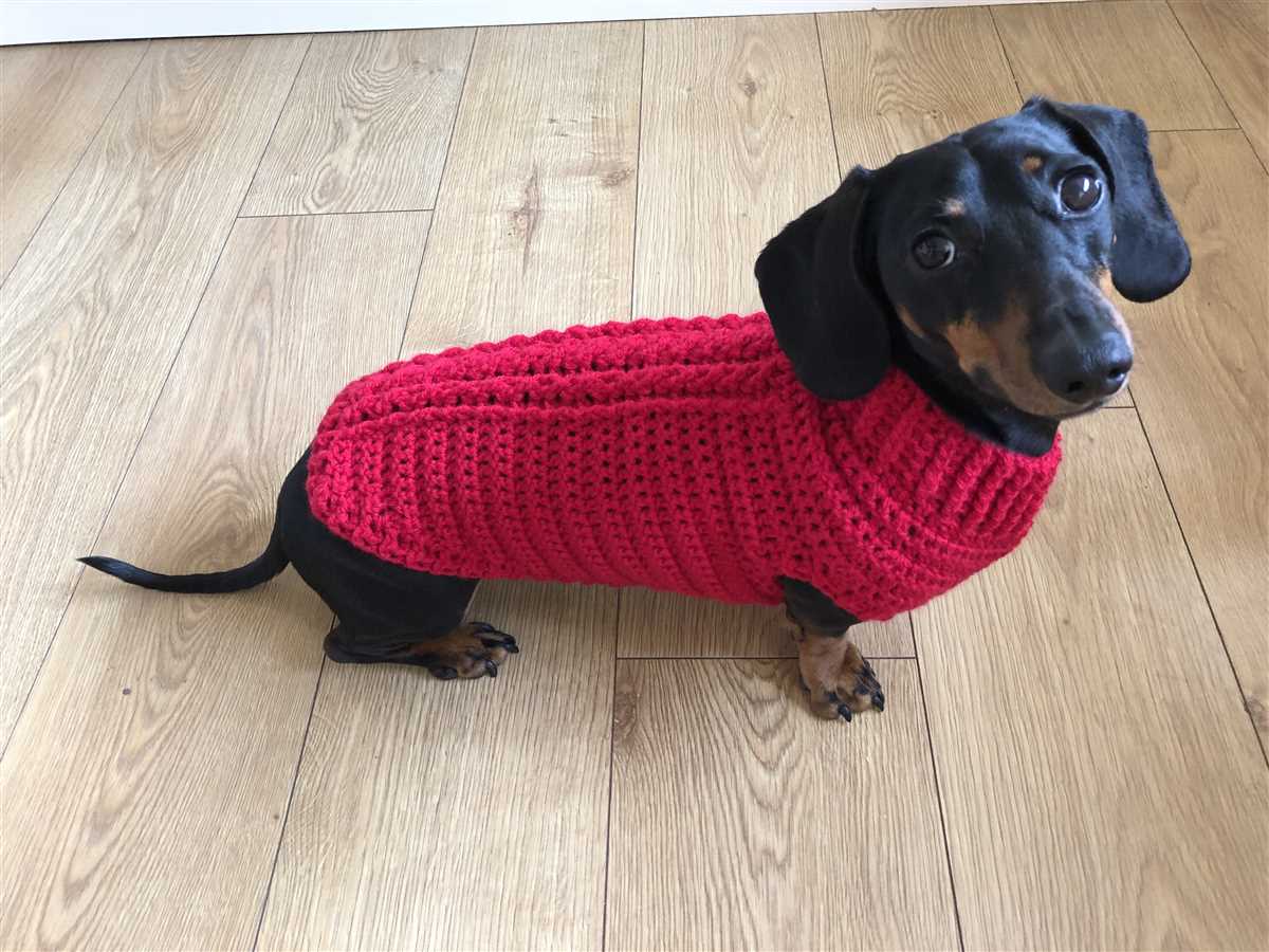 Dachshund jumper knitting pattern