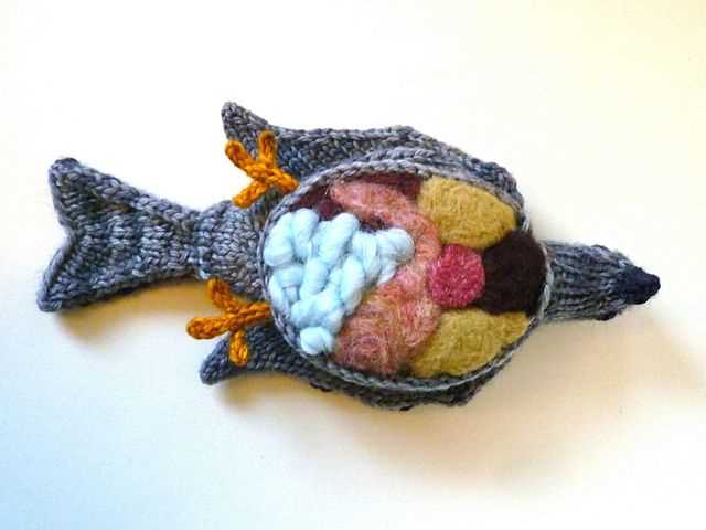 Free pigeon knitting pattern