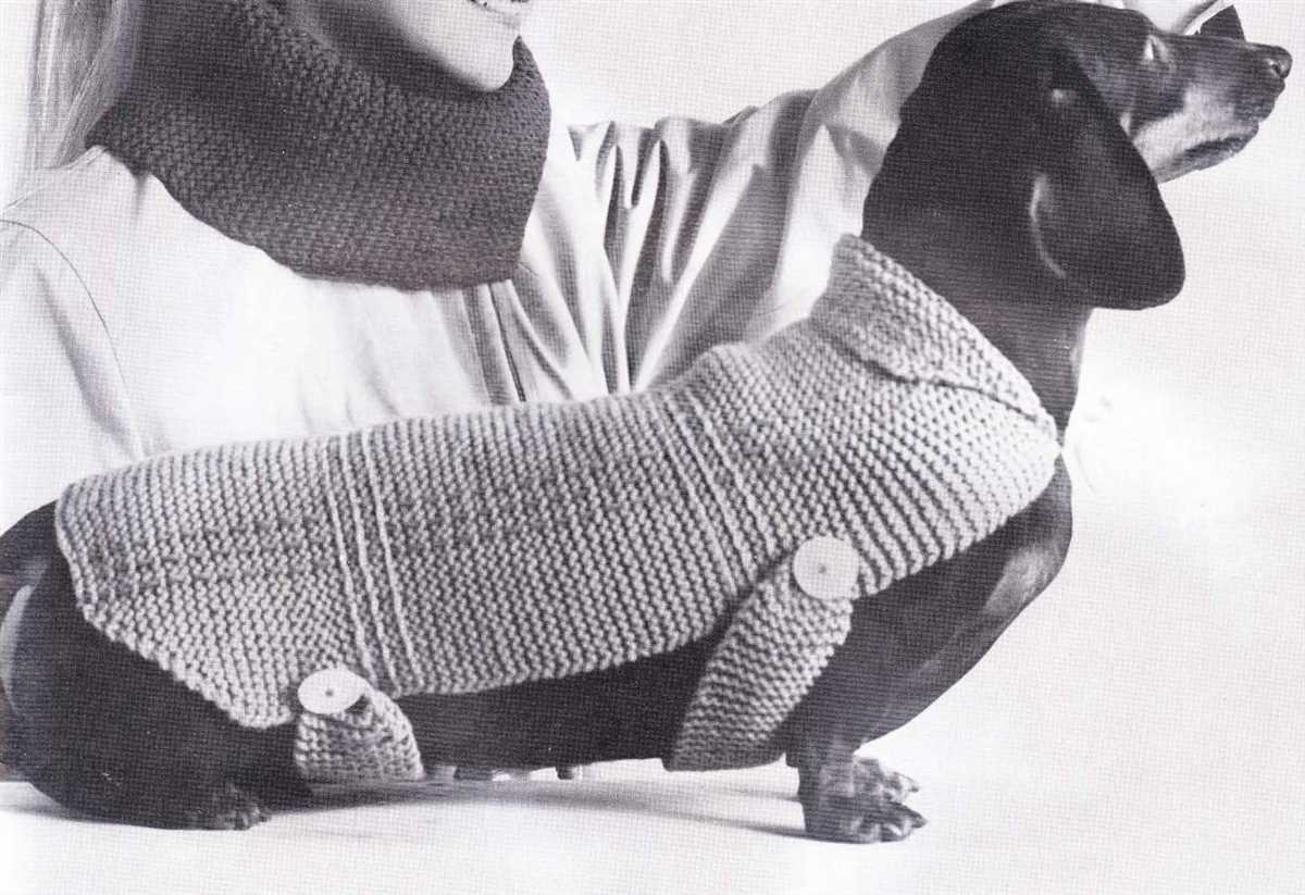 Dog sweater knitting pattern in the round