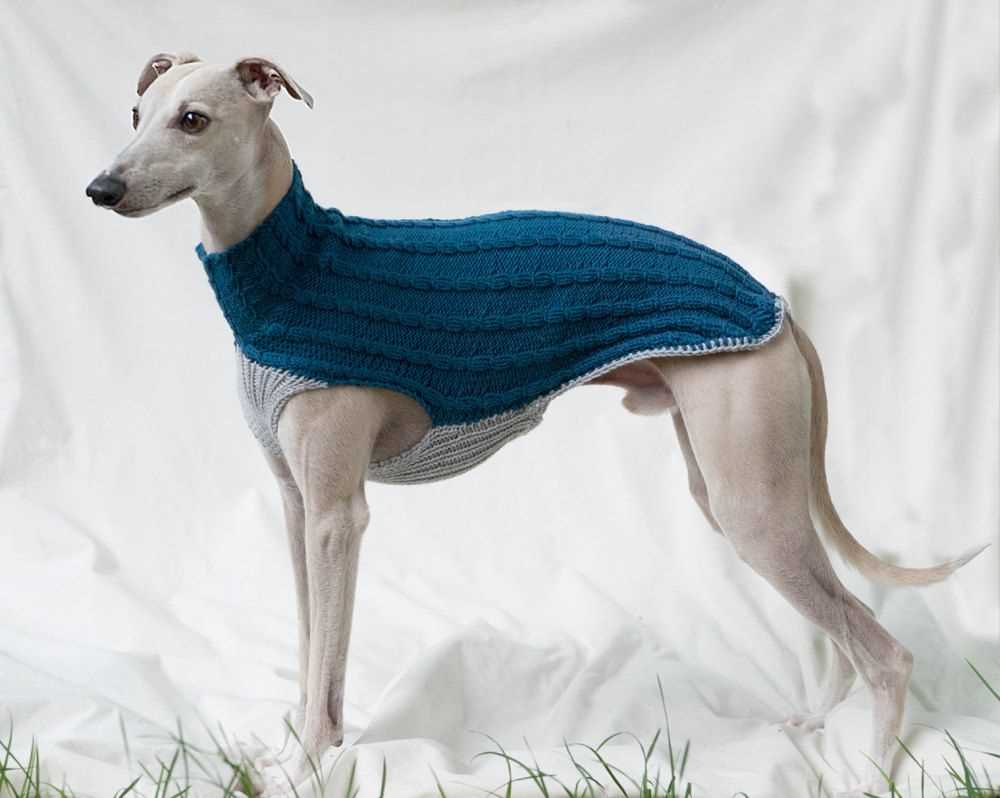 Greyhound snood knitting pattern