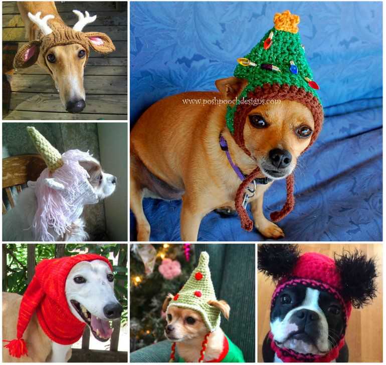 Knit dog hat with ear holes pattern free