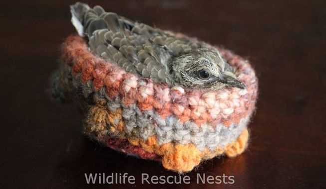 Wildlife rescue nests knitting patterns