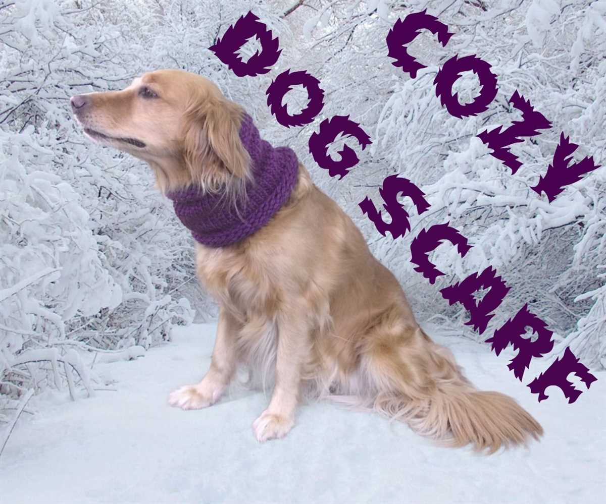 Knitted dog scarf pattern free