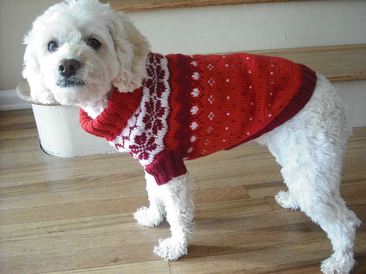 Dog jersey knitting pattern