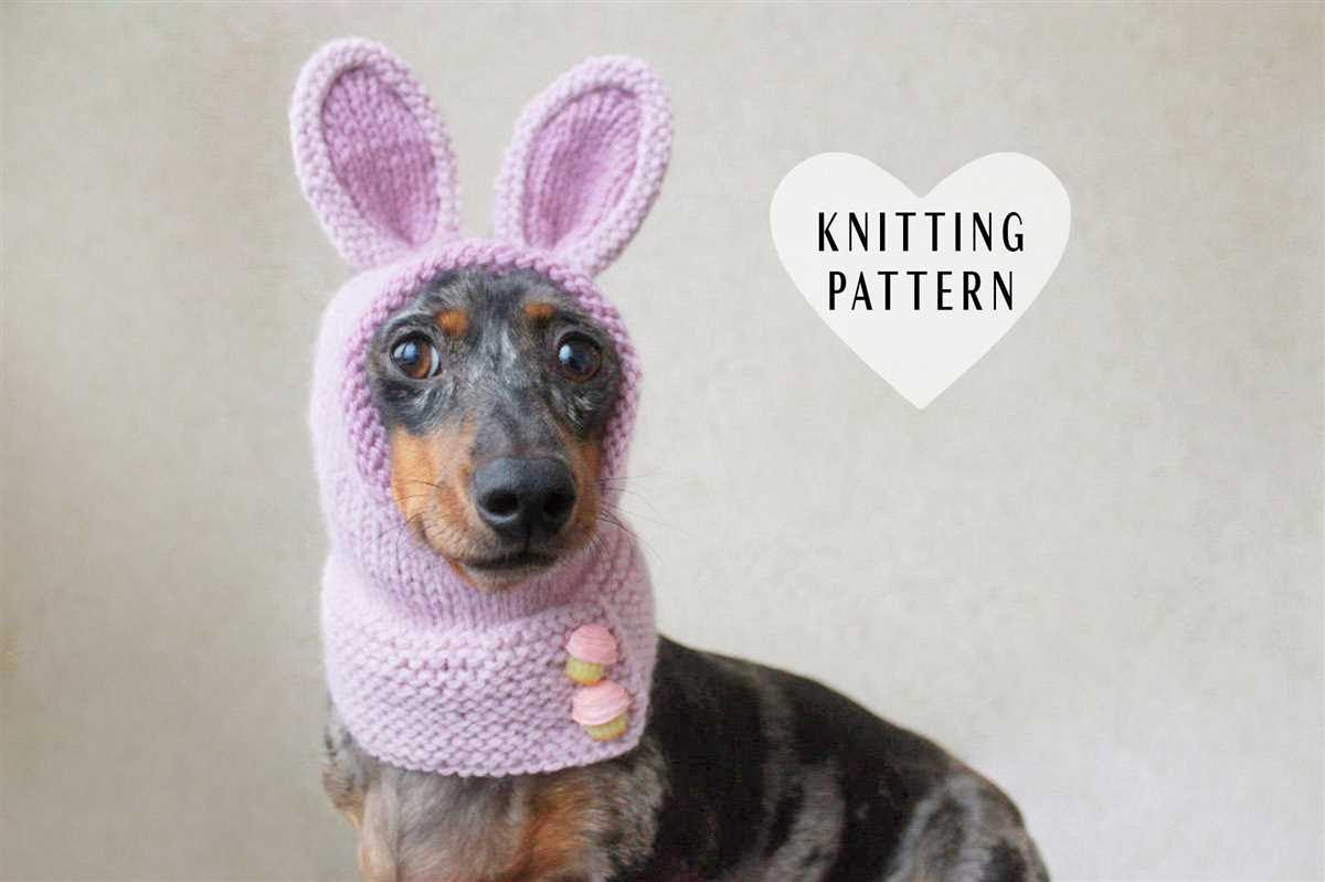 Knit dog hat with ear holes pattern free